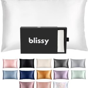 Blissy Silk Pillowcase – 100% Pure Mulberry Silk – 22 Momme 6A High-Grade Fibers – Pillow Cover for Hair & Skin – Regular, Queen & King with Hidden Zipper (Standard,Blissy White)